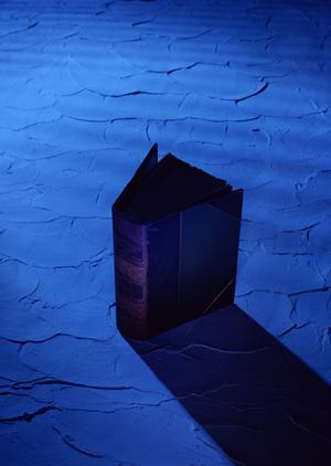 【2025年版】TOKAIモバイルショップの全て：サービス内容と店舗情報の徹底解説